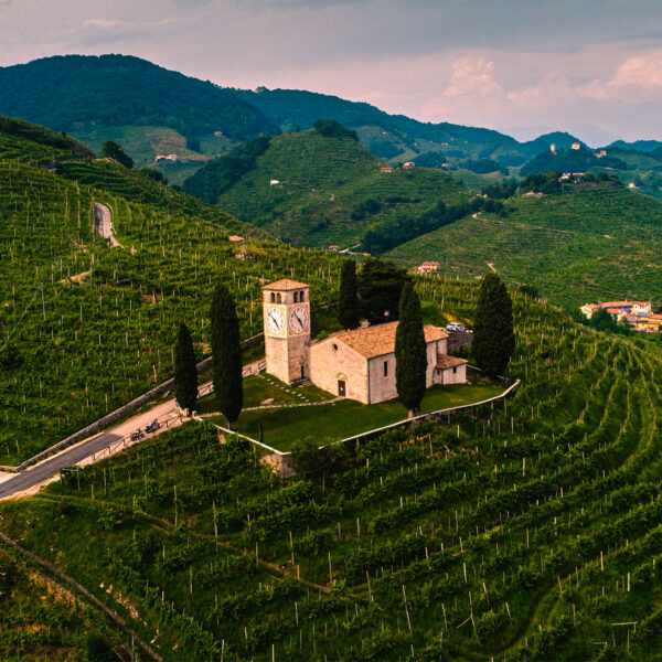 Prosecco esportazioni e contraffazioni Uplex