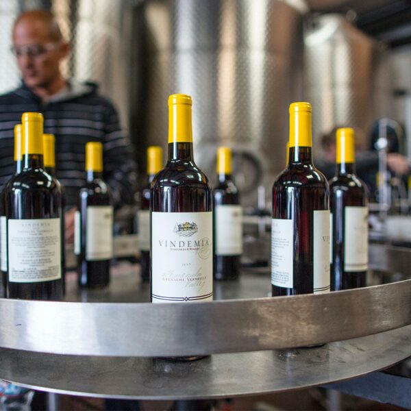 Testo unico dei vini